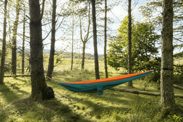 A colourful hammock suspended between tall pine trees in a bright woodland clearing, with soft morning sunlight, lush green grass and a peaceful natural setting.