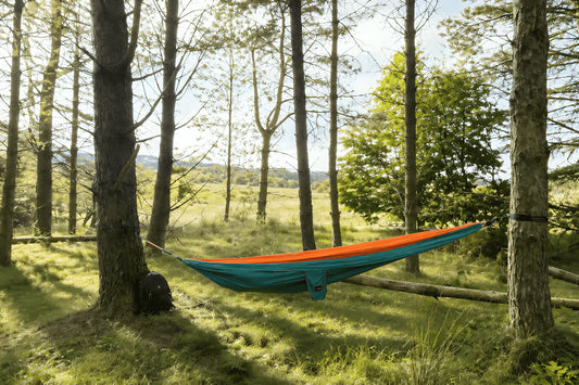 A colourful hammock suspended between tall pine trees in a bright woodland clearing, with soft morning sunlight, lush green grass and a peaceful natural setting.