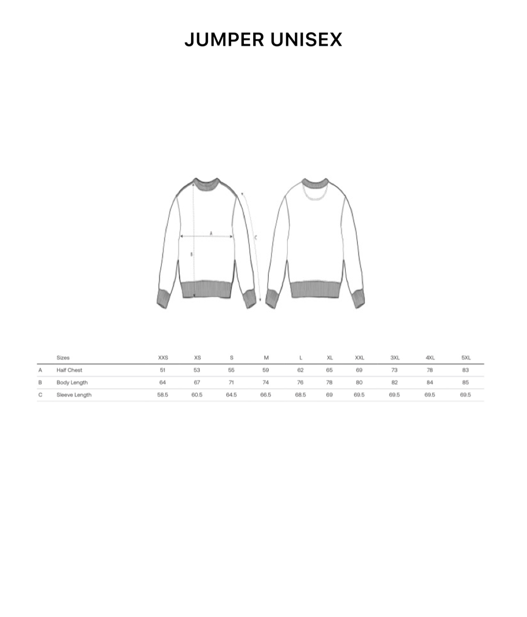 Technical size guide illustration for the Best Human Beaming unisex jumper, showing a line drawing of the jumper with dimensions.
